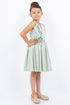 Girls V-Neck Pleated Flower Girl Dress with Rose Appliqué 2-12